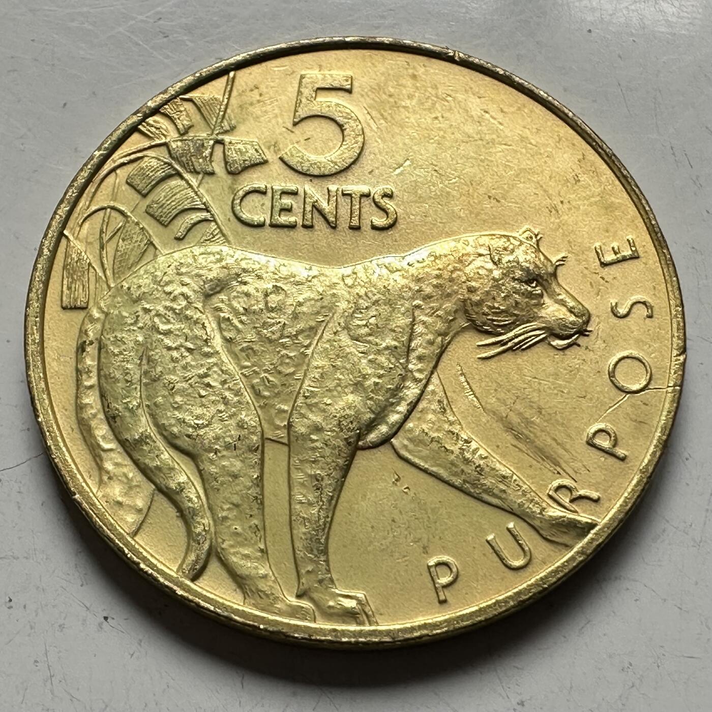 🌹外币初藏🌹🐯2026年第14场  每周二四六晚8️⃣点 接代拍 圭亚那1976年五分