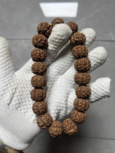 零元拍：超大龙花金刚手持，爆红爆肉，18.5/16左右 - 零元拍：超大龙花金刚手持，爆红爆肉，18.5/16左右