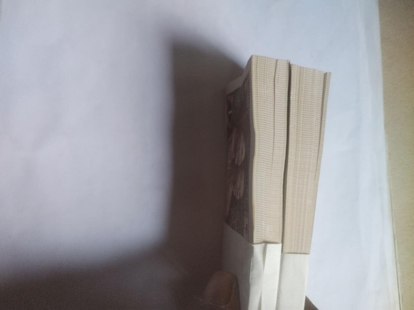 纸币专场 8001。捆拆200张连号。