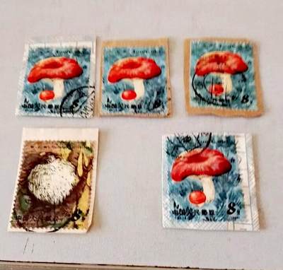 $宁静致远$ 2026年2月中国邮票拍卖 - T66(6-3、4)盖剪片旧五枚，其中二枚全戳