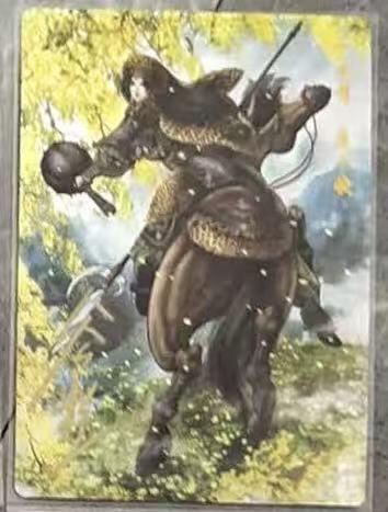 NO.23 好又多金牌大场，年前倒数第2期！每周一站式配齐，方便凑单！（周6晚8点截拍，卖家送拍0抽成！） 【62/108编亲签】卡德曼 谷粒亲签 扈三娘 粗闪