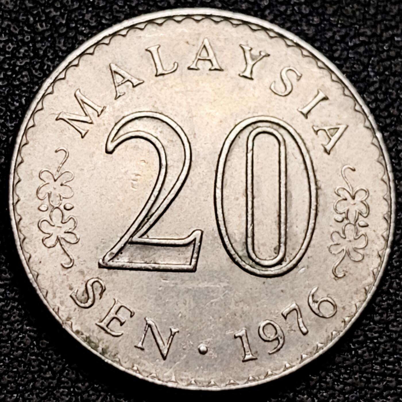 泉币菌-第180场- 精品福利场