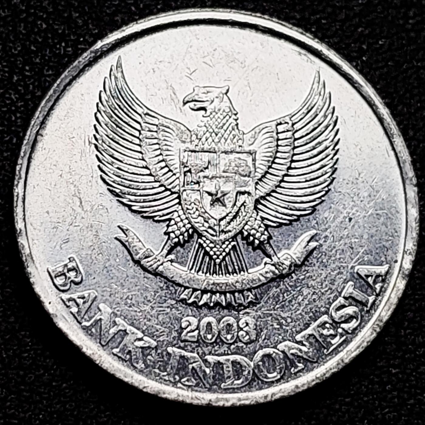 泉币菌-第180场- 精品福利场