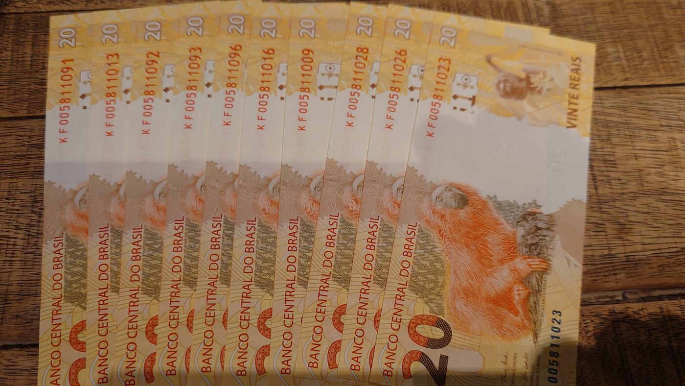 【新年十一拍】世界钱币～微拍第232期暨2026年第11期  多款低端纸币10张为一件成本价起拍 2010年巴西20雷亚尔 如图全新绝品十张为一件 无47