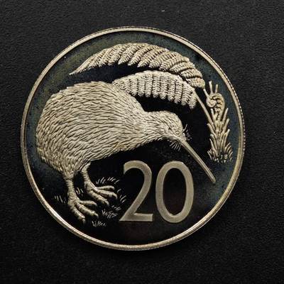 【淘币小摊】限时拍第八百五十八拍  散币场  满百包邮可预留两周  周一统一发货  - 新西兰1981年20分精制镍币