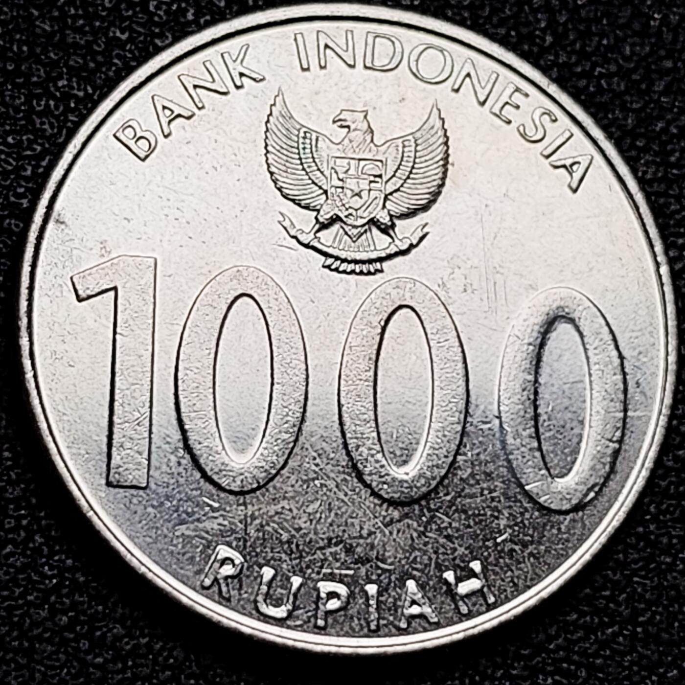 泉币菌-第180场- 精品福利场