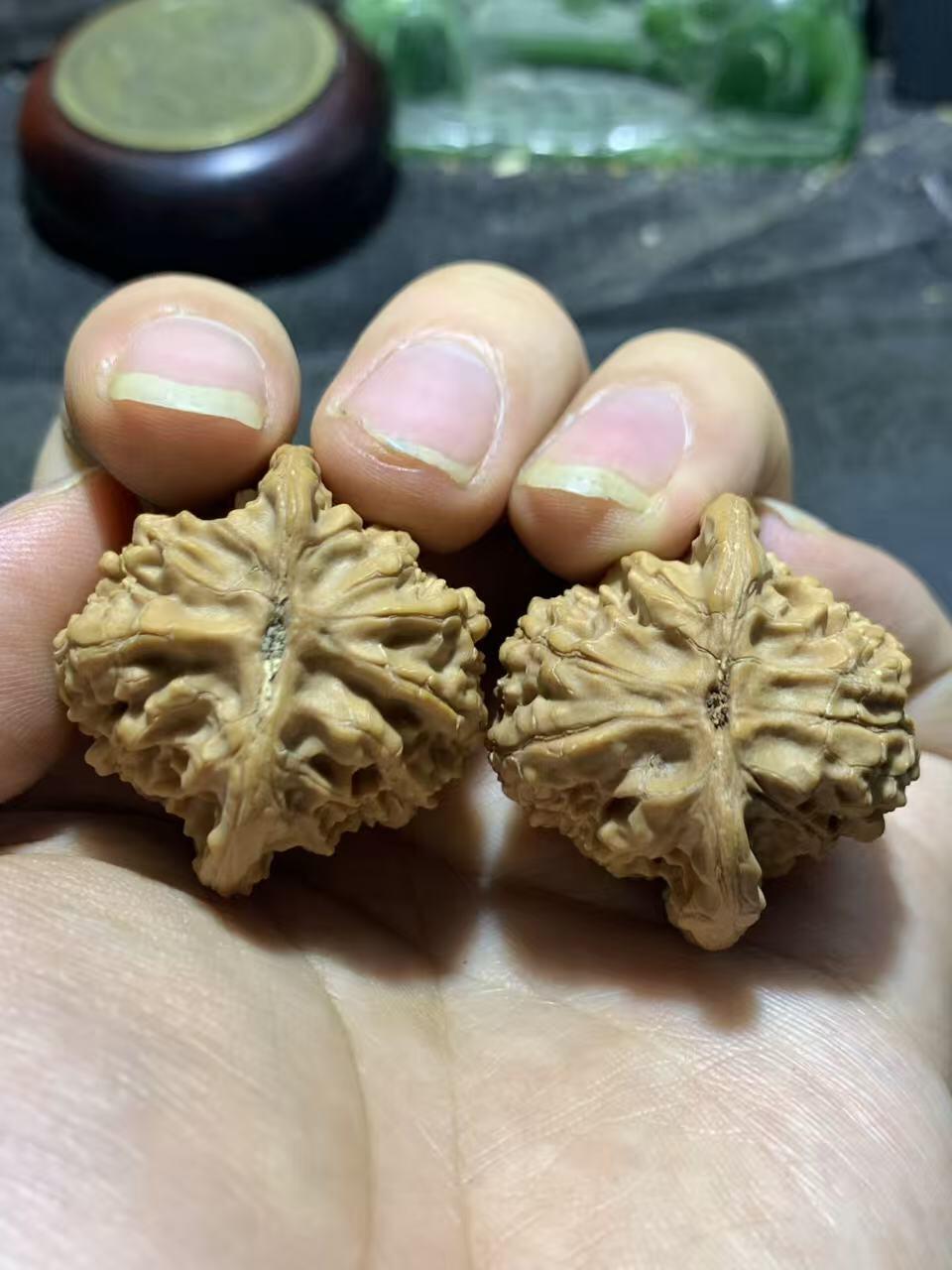 精美稀有小众凤凰岭狮子头手捻麻核桃文玩核桃一对，