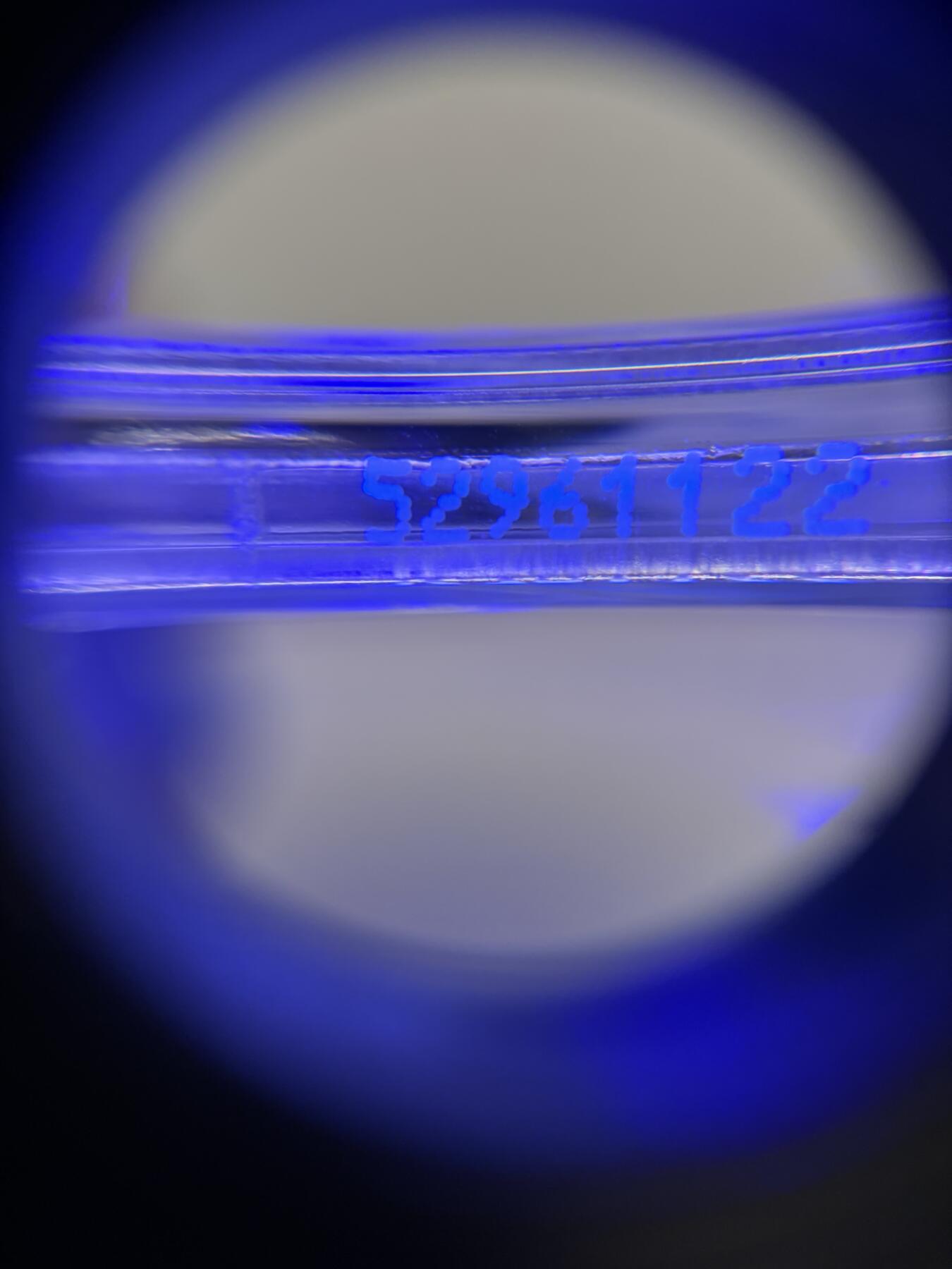 55分十年T点年大头