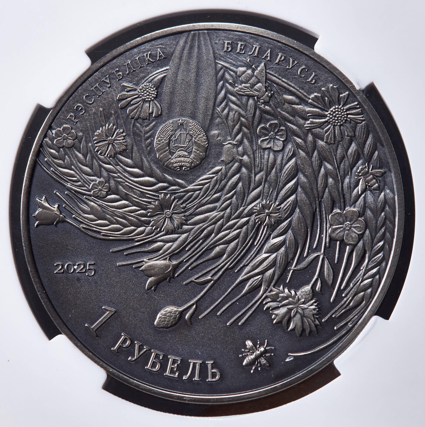 【俄甄集藏】马年新春第一拍 2026年(048)02-25星期三 晚 19:30 全场包邮 白俄罗斯2025年纪念世界反法西斯胜利80周年1卢布仿古纪念币，信泰 MS69，热门品种，康乃馨的红色点睛之笔，直径50mm，重57克，发行量5000枚