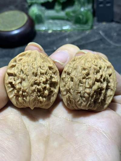 精美稀有小众凤凰岭狮子头手捻麻核桃文玩核桃一对， - 精美稀有小众凤凰岭狮子头手捻麻核桃文玩核桃一对，