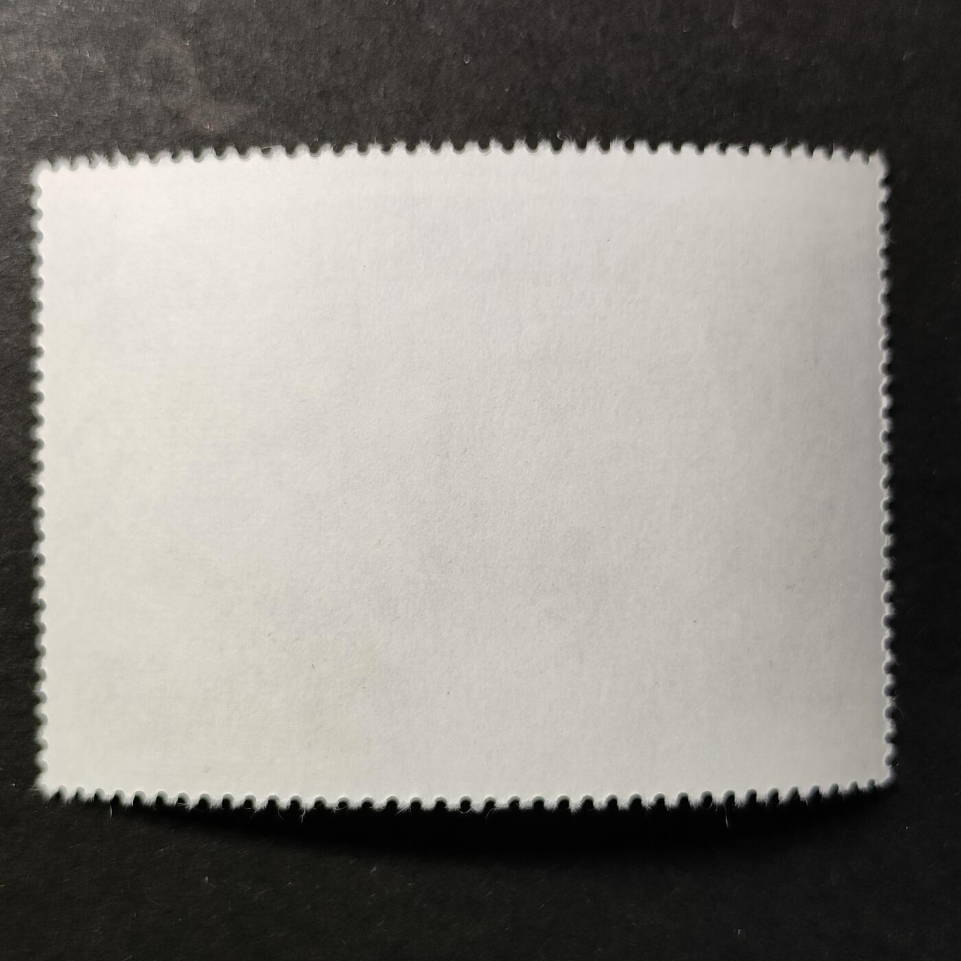 嘉禾收藏    【第455期】            无佣金、可寄存、满30元包邮 邮票一枚