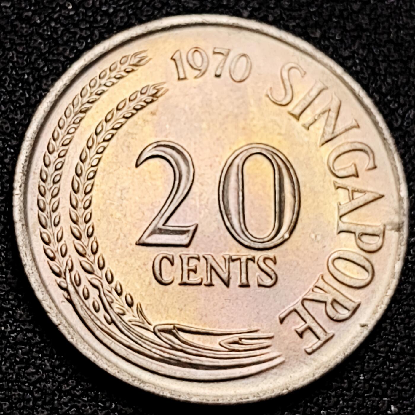 泉币菌-第180场- 精品福利场