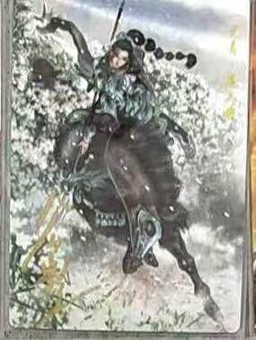 NO.23 好又多金牌大场，年前倒数第2期！每周一站式配齐，方便凑单！（周6晚8点截拍，卖家送拍0抽成！） - 【96/108编亲签】卡德曼 谷粒亲签 扈三娘 粗闪