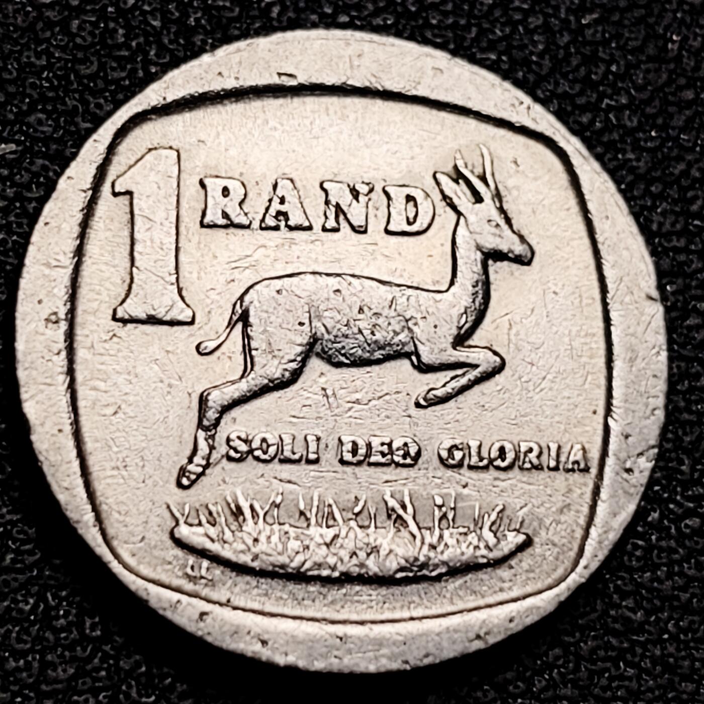 泉币菌-第180场- 精品福利场