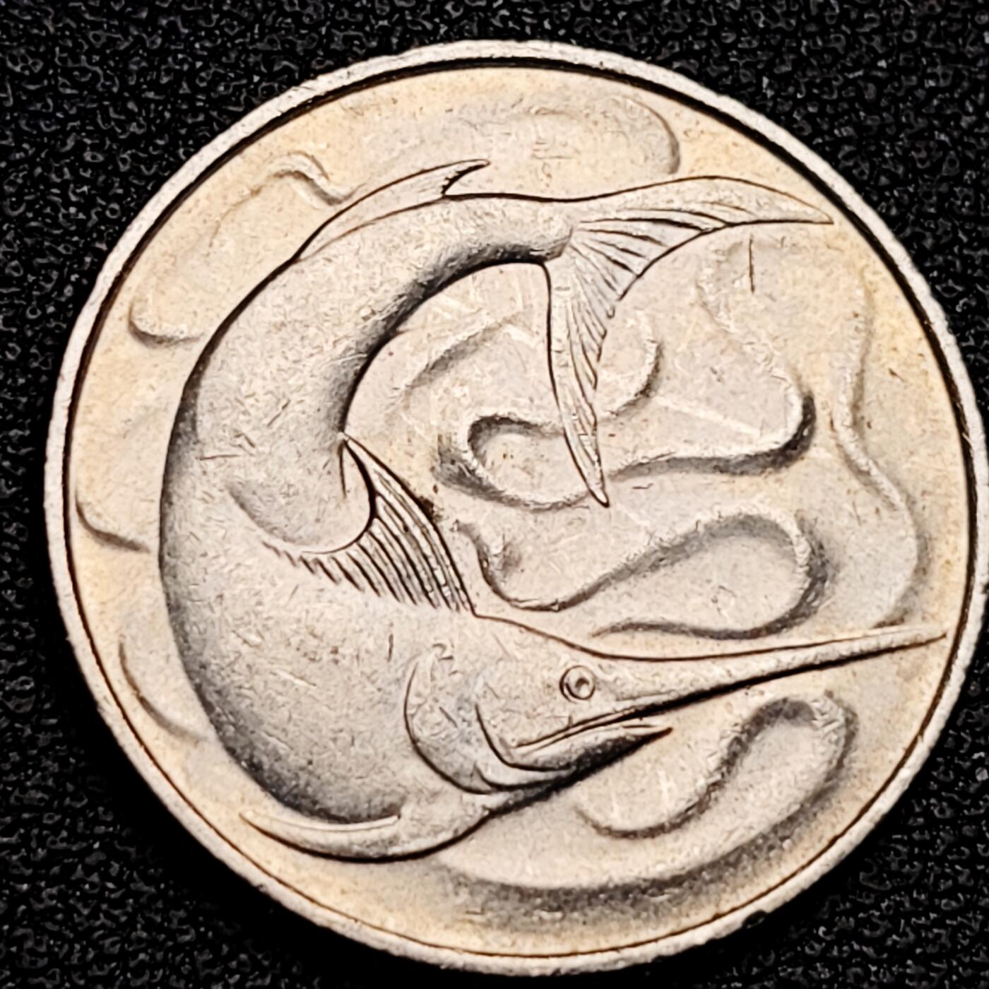 泉币菌-第180场- 精品福利场