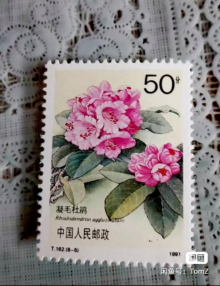 $宁静致远$ 2026年2月中国邮票拍卖