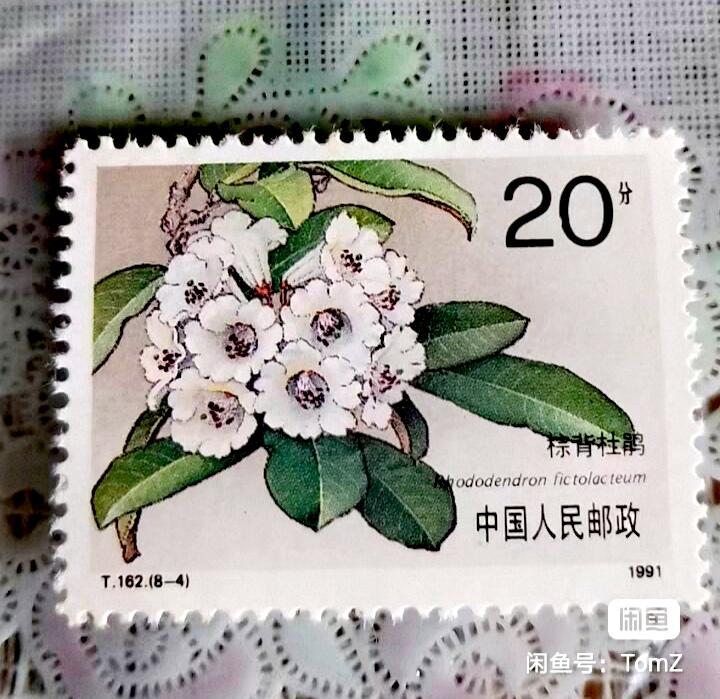 $宁静致远$ 2026年2月中国邮票拍卖