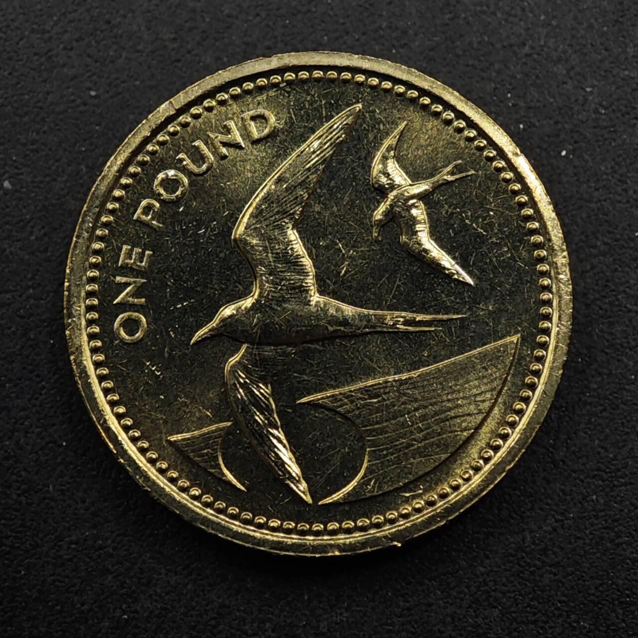 【淘币小摊】限时拍第八百五十八拍  散币场  满百包邮可预留两周  周一统一发货  圣赫勒拿1984年燕鸥1镑铜币