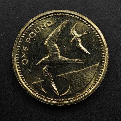 【淘币小摊】限时拍第八百五十八拍  散币场  满百包邮可预留两周  周一统一发货  - 圣赫勒拿1984年燕鸥1镑铜币