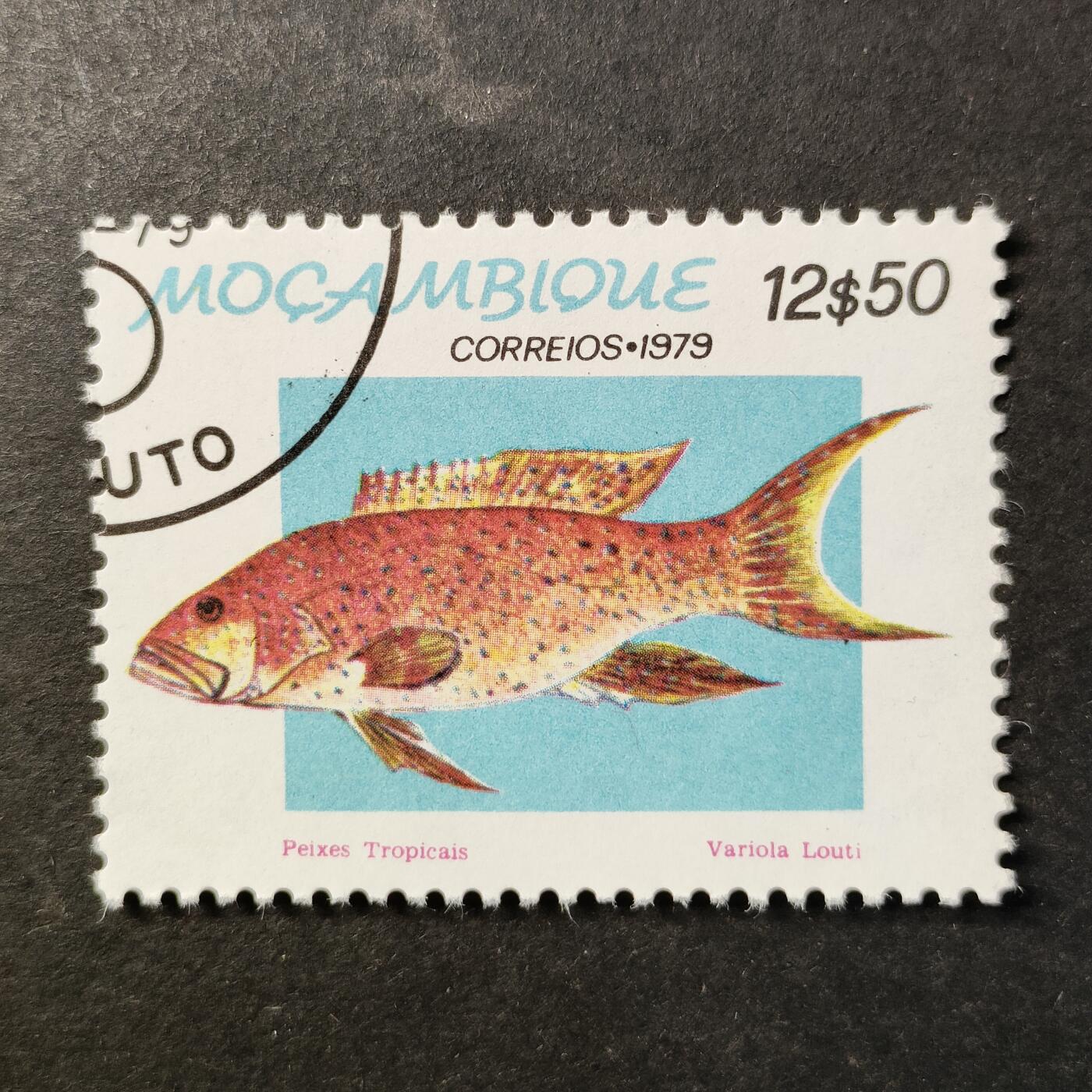 嘉禾收藏    【第455期】            无佣金、可寄存、满30元包邮 邮票一枚