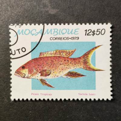 嘉禾收藏    【第459期】            无佣金、可寄存、满30元包邮 - 邮票一枚