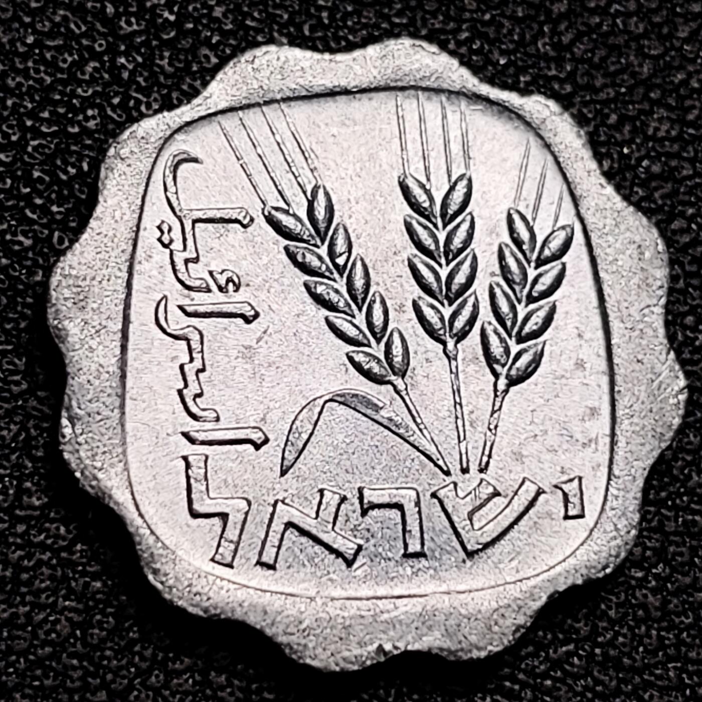 泉币菌-第180场- 精品福利场