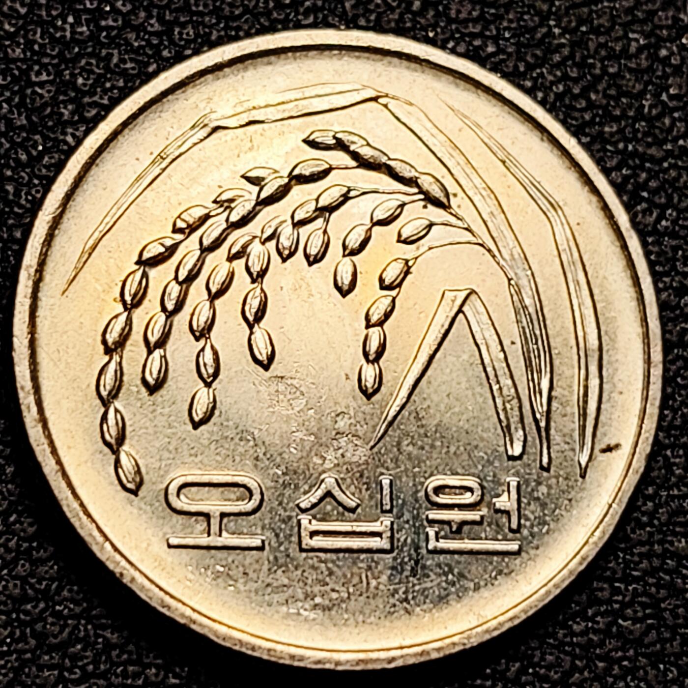 泉币菌-第180场- 精品福利场