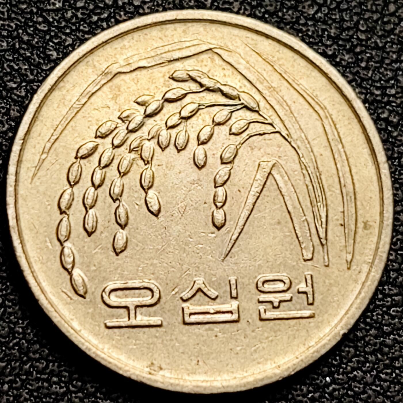 泉币菌-第180场- 精品福利场