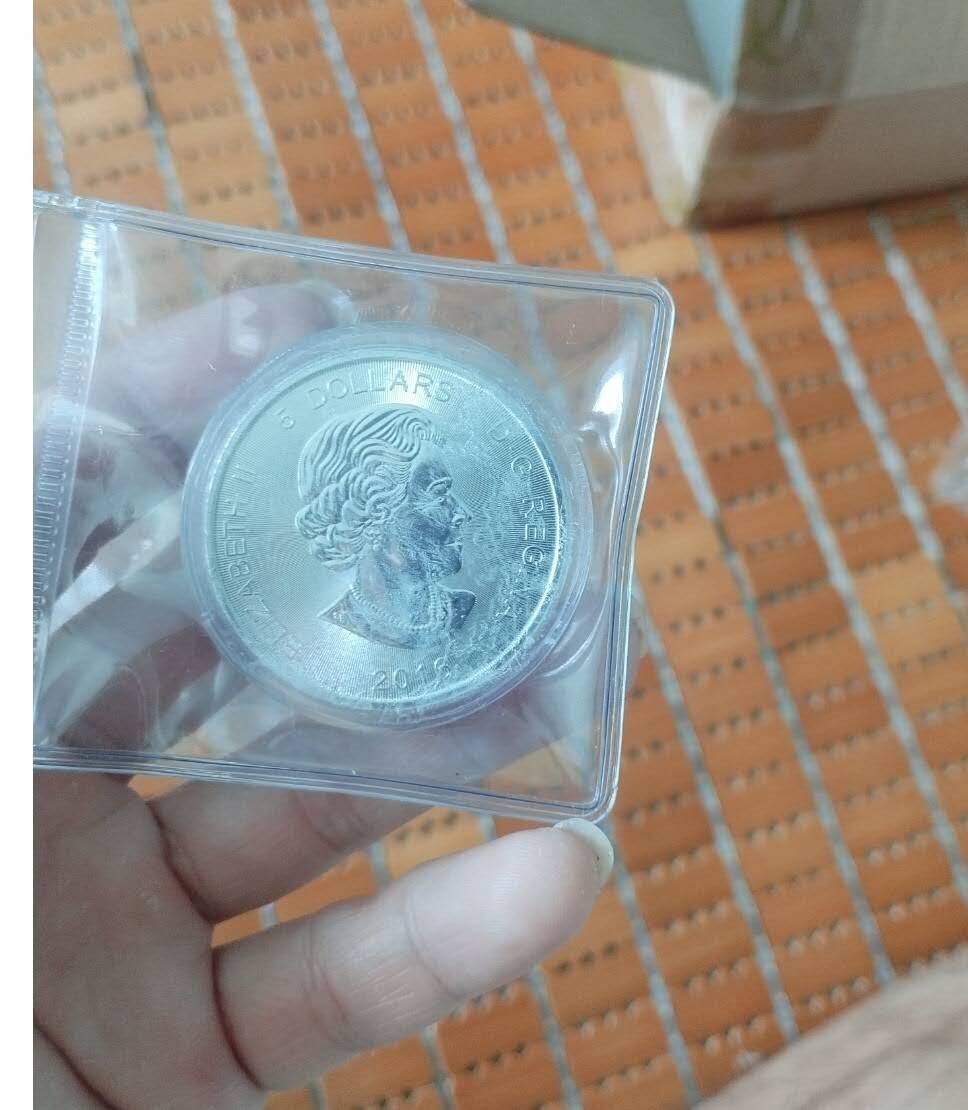 2016年加拿大一盎司美州豹银币，31克