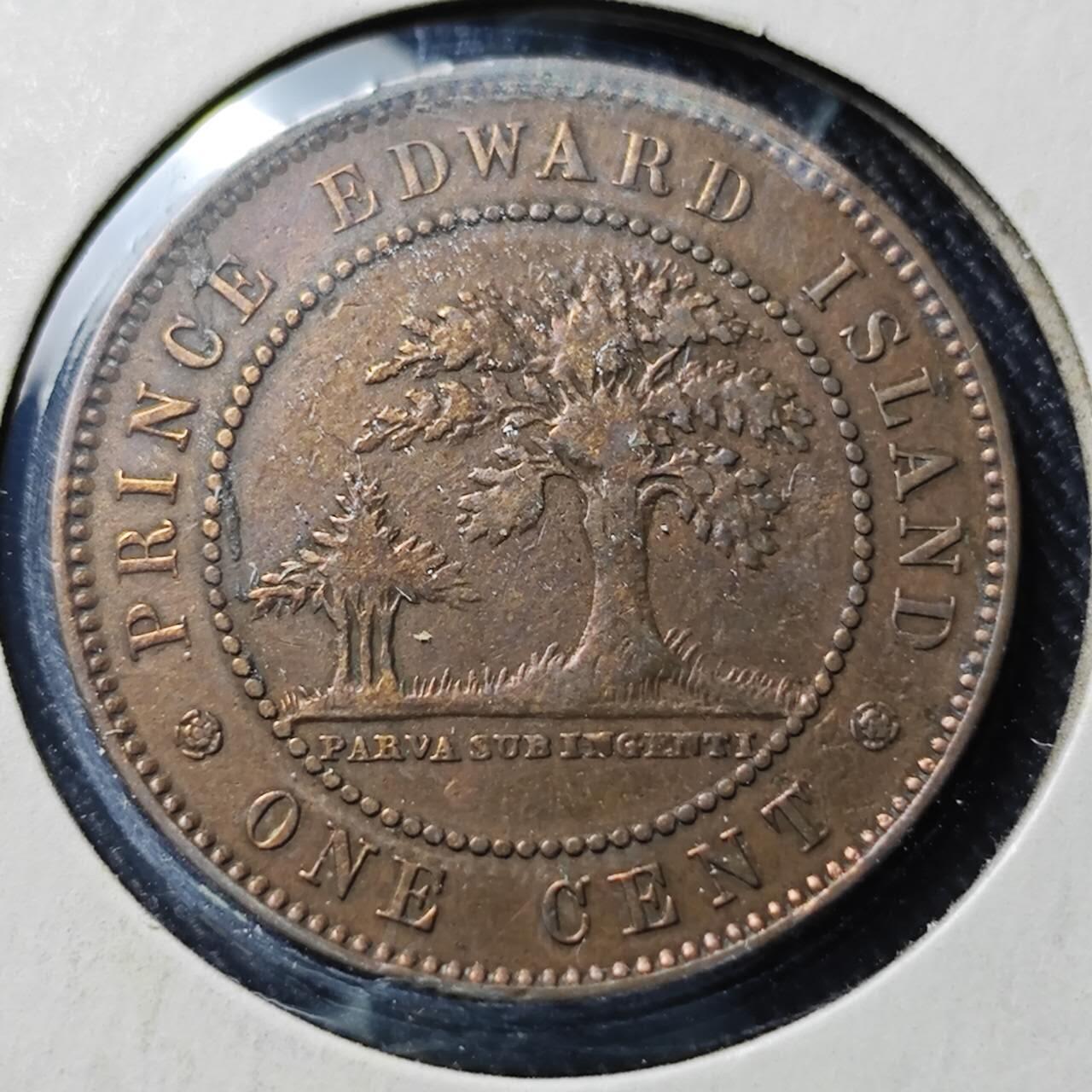 KK钱币收藏小铺  第398期 百期特拍（四拍之二） 2月预留时间 周末发货  1871 加拿大爱德华王子岛1分 少见地区 维多利亚头像 橡树图案