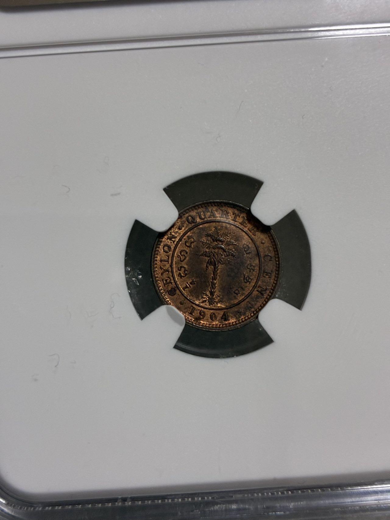 NGC UNCD 英属锡兰1904年 爱德华七世 1/4分 铜币