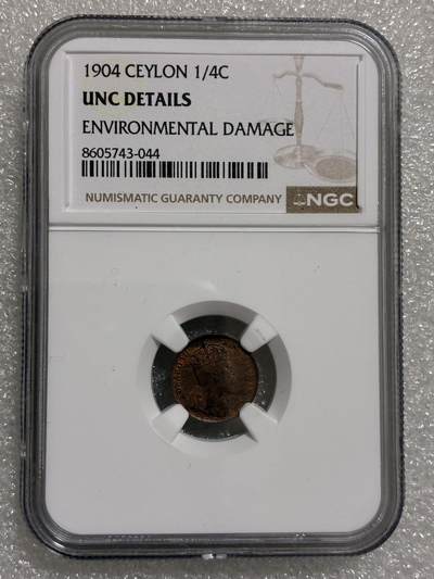NGC UNCD 英属锡兰1904年 爱德华七世 1/4分 铜币 - NGC UNCD 英属锡兰1904年 爱德华七世 1/4分 铜币