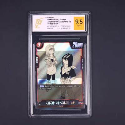 七龙珠卡片 - 人造人17号/人造人18号 FB06-012 R