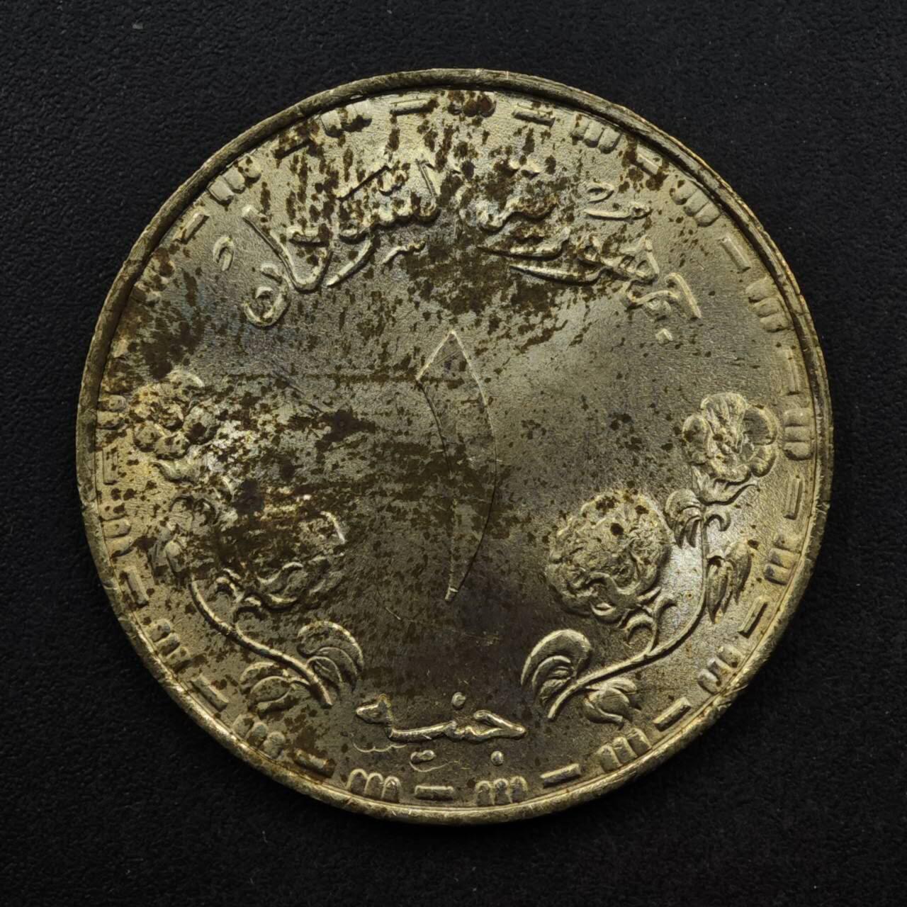 【淘币小摊】限时拍第八百五十八拍  散币场  满百包邮可预留两周  周一统一发货  苏丹1987年1镑铜币