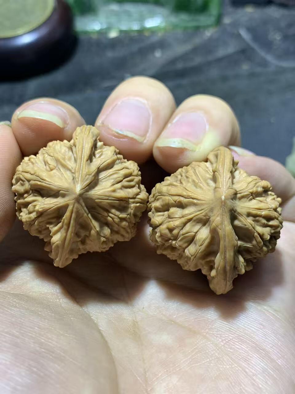 精美稀有小众凤凰岭狮子头手捻麻核桃文玩核桃一对，