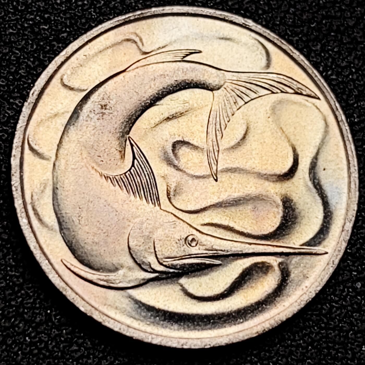 泉币菌-第180场- 精品福利场