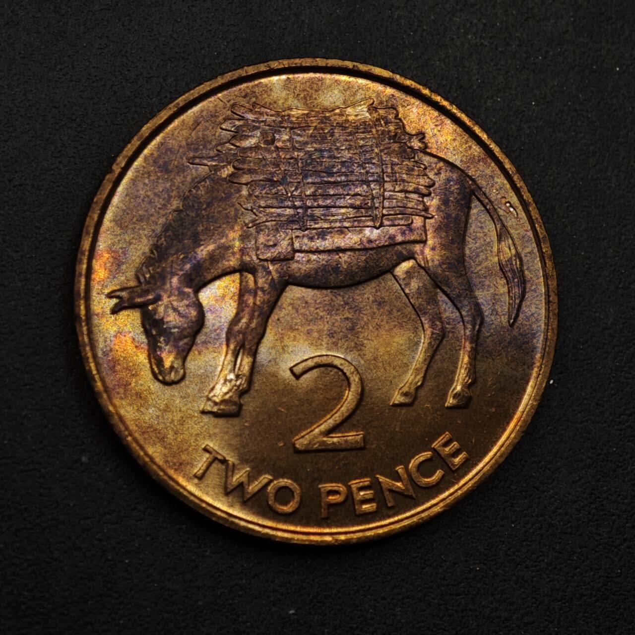 【淘币小摊】限时拍第八百五十八拍  散币场  满百包邮可预留两周  周一统一发货  圣赫勒拿1984年毛驴2便士铜币