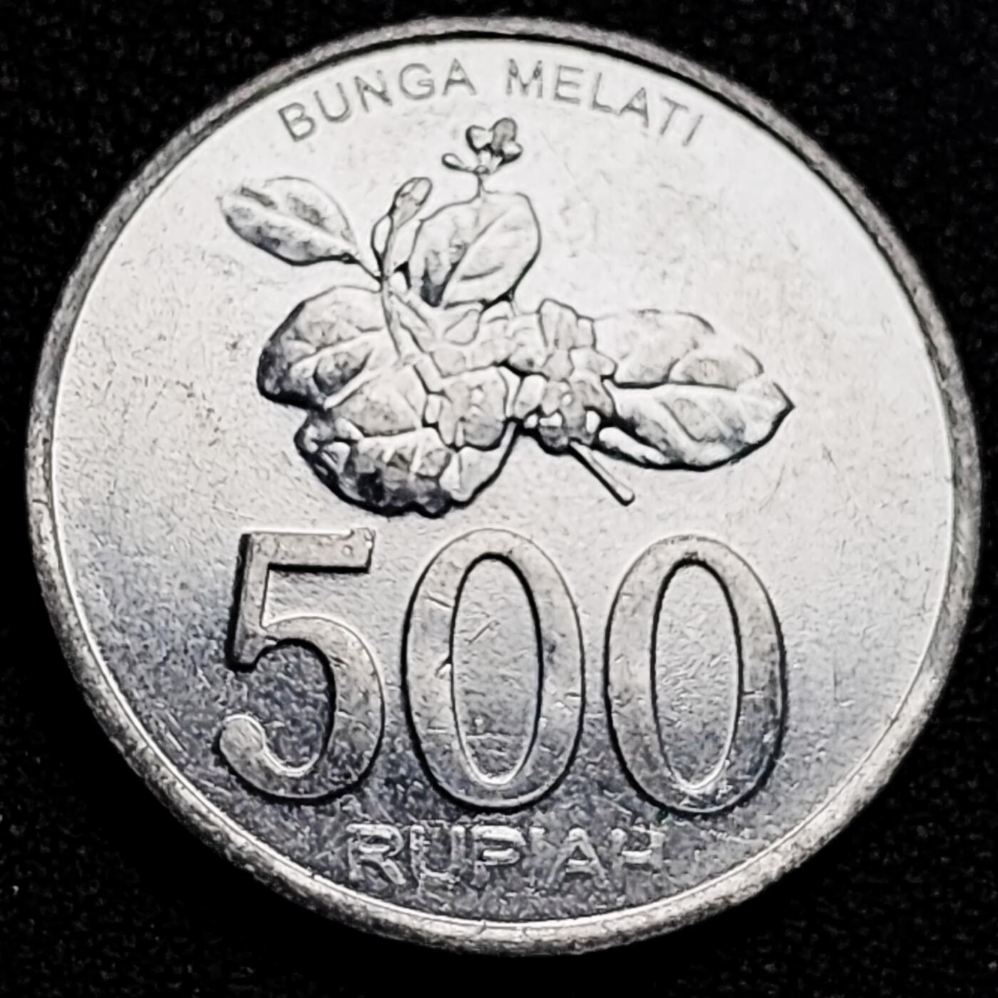 泉币菌-第180场- 精品福利场