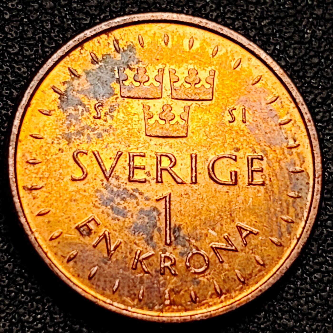 泉币菌-第180场- 精品福利场