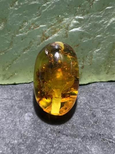 乌克兰花珀通货枣形桶珠一个， - 乌克兰花珀通货枣形桶珠一个，