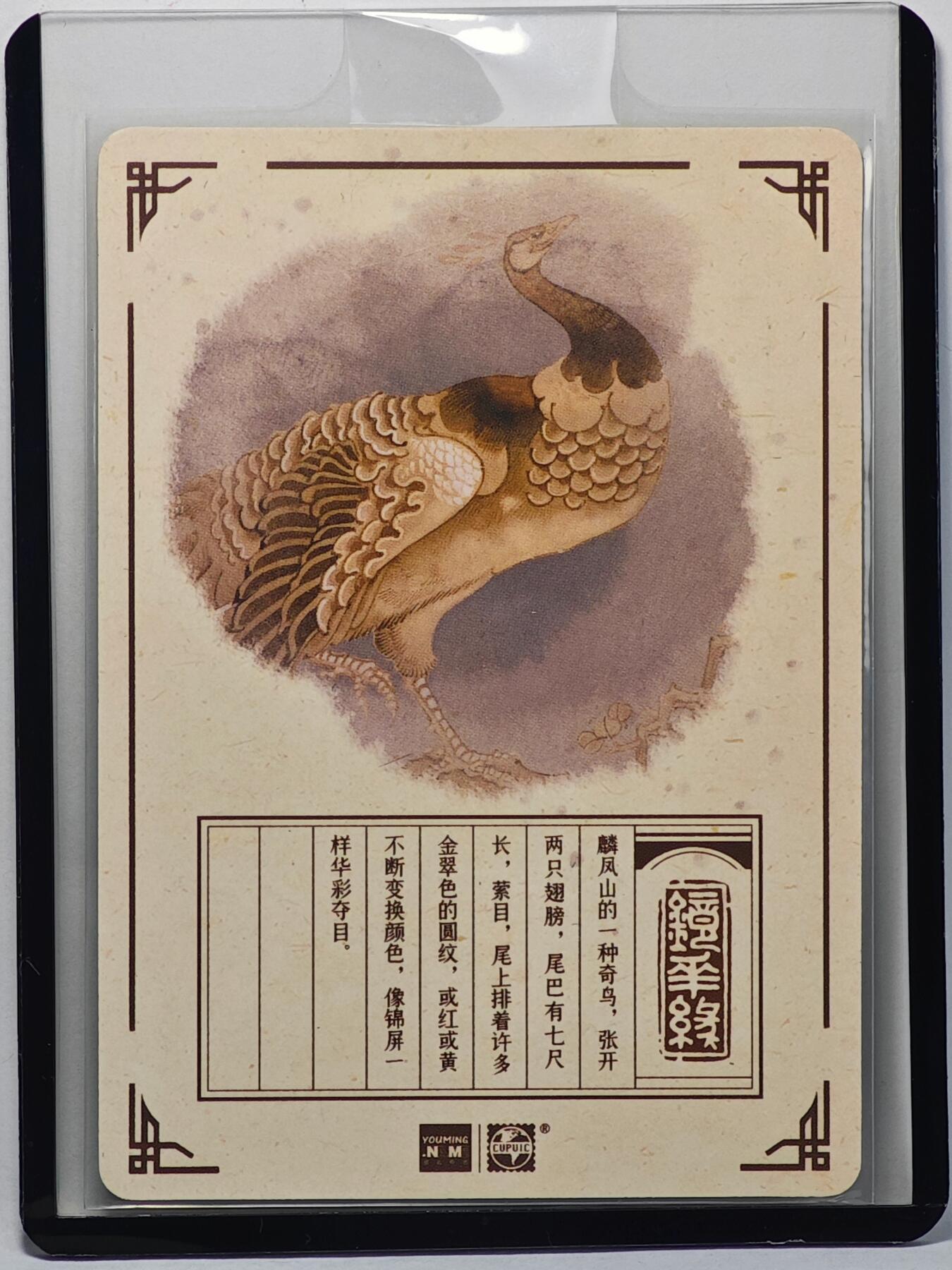 白泽拍卖卡牌手绘专场第32期（愿得长如此 年年物侯新） 2023 镜花缘 陈岱青绘 孔雀  陈岱青亲签 粗闪 卡夹封装