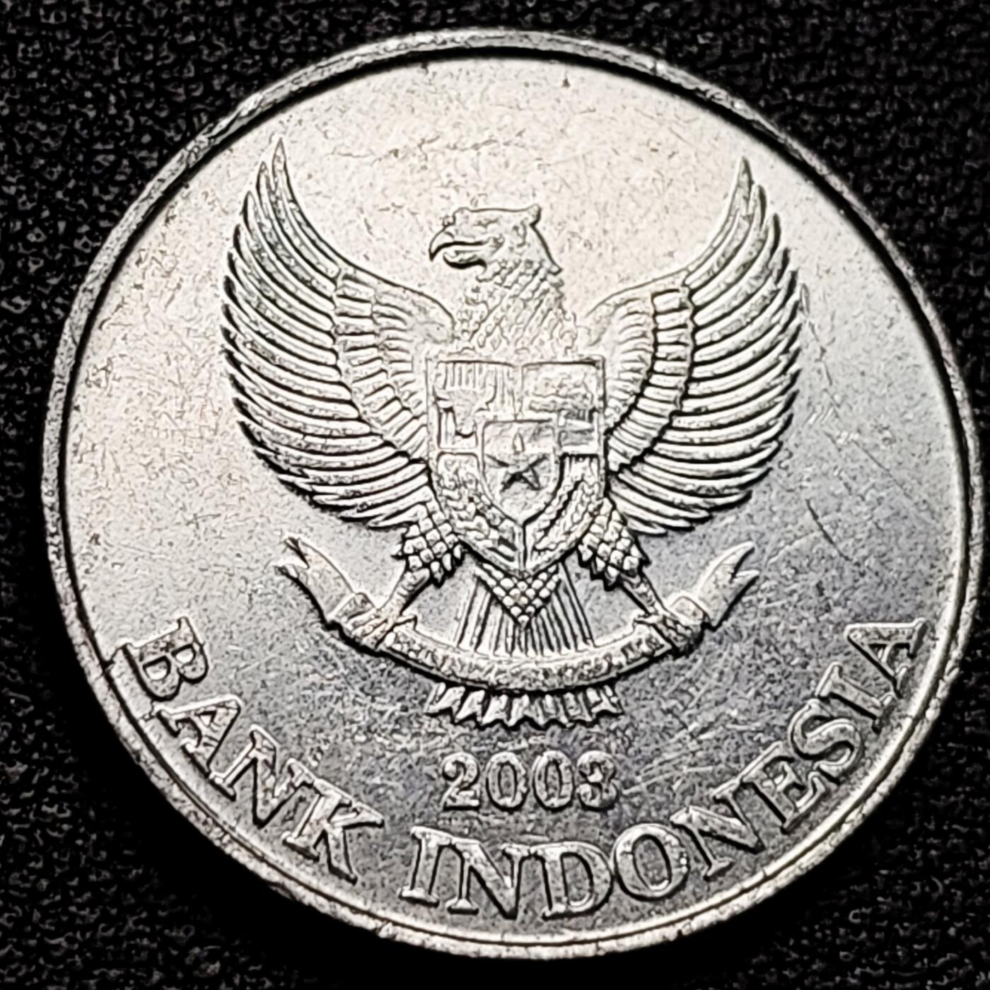 泉币菌-第180场- 精品福利场