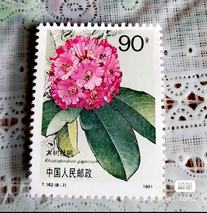 $宁静致远$ 2026年2月中国邮票拍卖