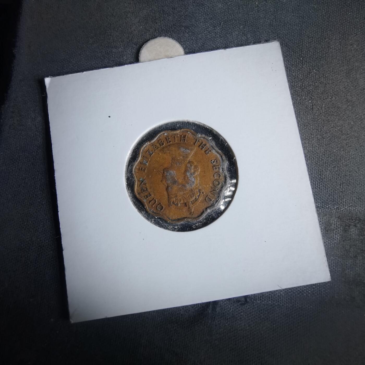 沼泽如烟--第981场