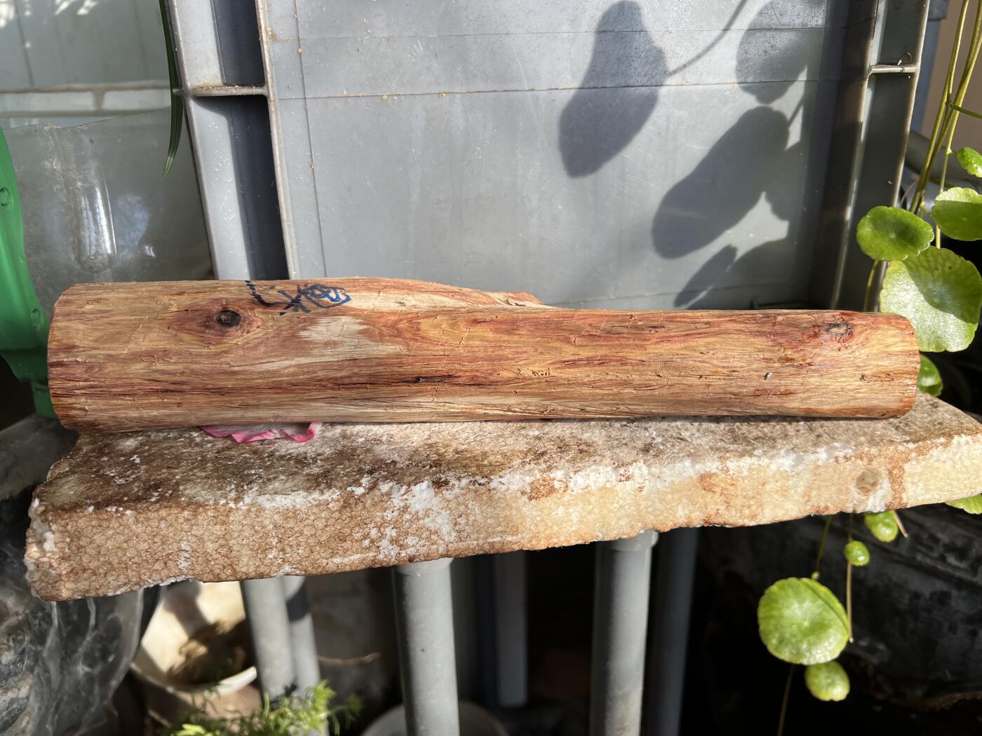 零元拍：NO.35-13海南黄花梨珠子把件料，外面白皮基本都去掉了，红肉打底花纹很漂亮。285/40/35MM