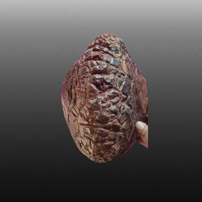 安欣年度票证专场 - 龟裂纹陨石