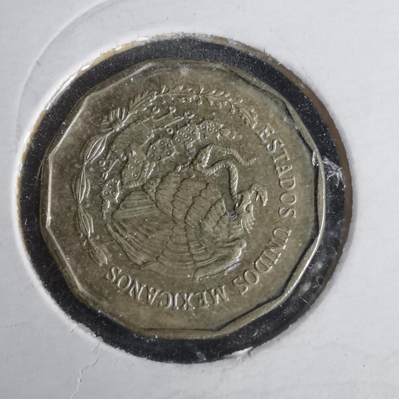 沼泽如烟--第981场