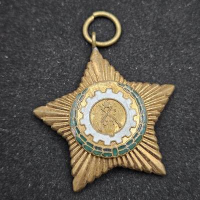 0元起拍勋章 第331期 咸鱼国勋章拍卖专场 2月4日（周三）下午6：00开始 - 缅甸奖章