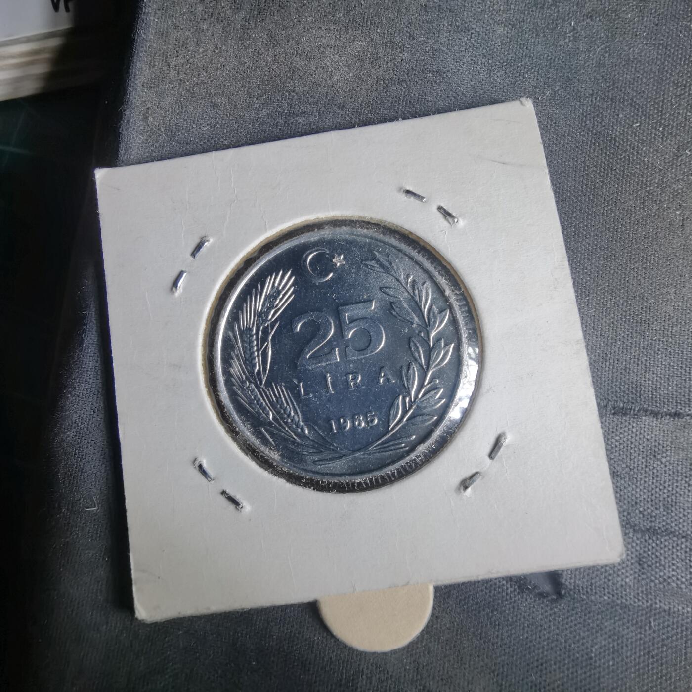 沼泽如烟--第981场