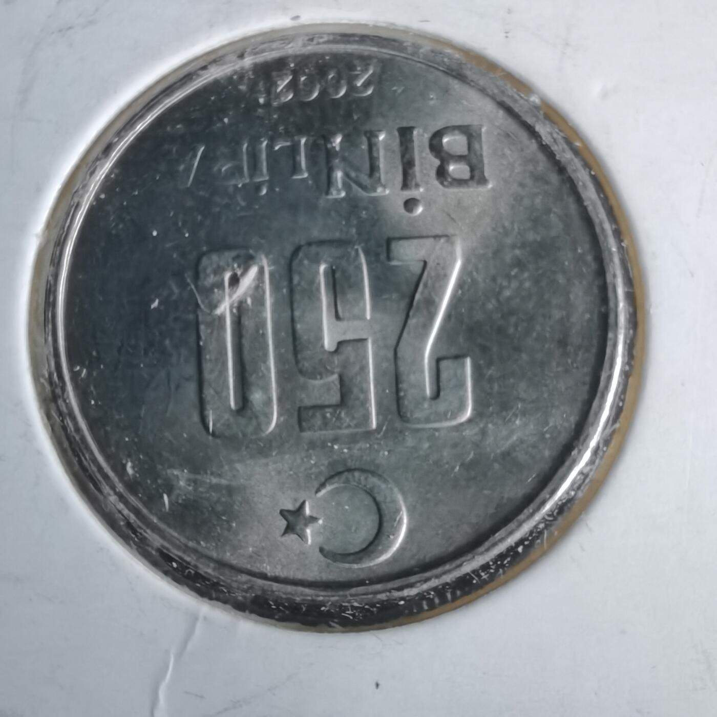 沼泽如烟--第981场